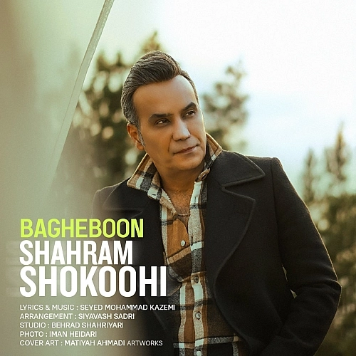 Cover artwork for Bagheboon by Shahram Shokoohi